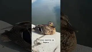 Лето 2024