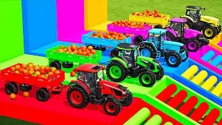 JOHN DEERE vs CASE vs ZETOR vs LANDINI TRACTORS BATTLE WITH ORANGES - Farming Simulator 22