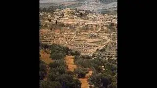 Palestine