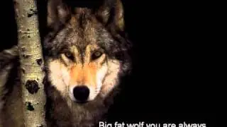 Big Fat Wolf (Original)