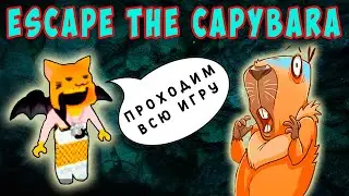 ПОБЕГ ОТ КАПИБАРЫ РОБЛОКС - ВСЕ КЛЮЧИ и КОДЫ
