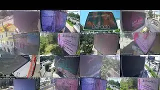 amedia отчеты