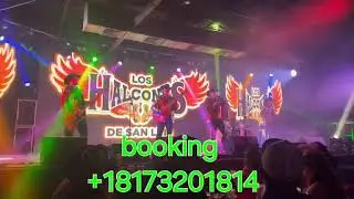 LOS HALCONES DE SAN LUIS en vivo desde San Antonio tx