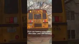 August Law of the Month: Bus Safety