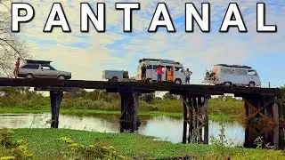 Um mês sobrevivendo no PANTANAL | SAGA COMPLETA