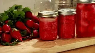Ferment Works | Training Sizzle |