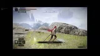 ELDEN RING™ bug