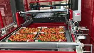 STAS Palletizers