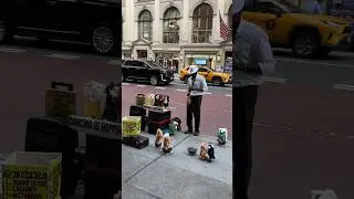 Жизнь большого города Нью-Йорк