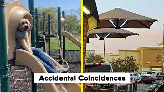 Photos That Prove Accidental Coincidences Follow Us All