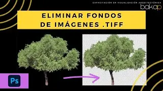 Eliminar rápidamente el fondo de una imagen .TIF en Photoshop