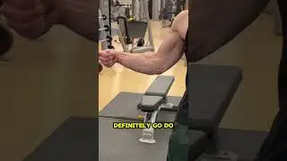 How many veins did you count?