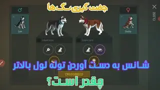 last day on earth dog لست دی اون ارت جفت گیری سگ و احتمالات گرفتن توله لول بالا