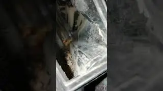 Замена салонного фильтра на Ниссан Жук