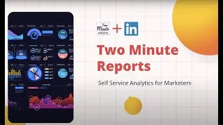 Two Minute Reports | LinkedIn Reports and Dashboards