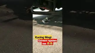 Extreem ngademnya 😂