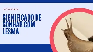 Sonhar com lesma, lesmas significado