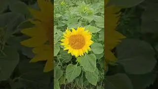 27 июня 2024 г.