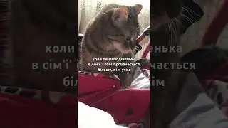 - мала!, ти і‘ сти ідеш!, - ні, мені , будь ласка у візочок принесіть
