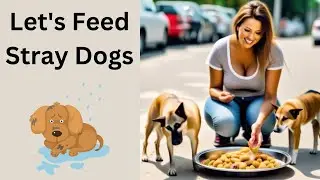 Stray ''Dogs'' are in Danger ⚠️