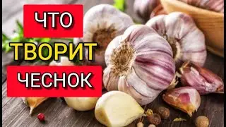ЛЕЧЕБНЫЕ СВОЙСТВА ЧЕСНОКА