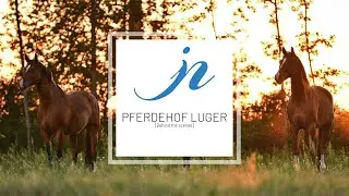 [Behind the scenes] Pferdehof Luger
