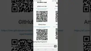 GitHub Raw