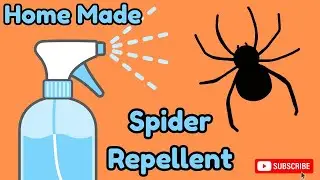 🕷️My Home Made SPIDER Repellent Recipe | ROCKS STEADY 🕷️‼️