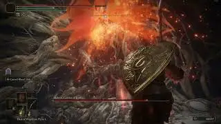 Malenia NG++ - Morgott's Cursed Sword