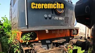 Czeremcha