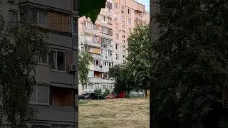 Харьков #shorts