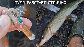 ЭТА СНАСТЬ ЛОВИТ ЛЮБОГО ХИЩНИКА / Щука 2.100 кг на Грушку / Уловистая снасть Грушка 2023