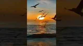 14 июня 2024 г.
