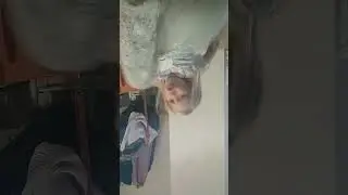 10 октября 2023 г.
