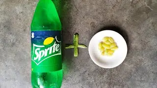 Experiment: SPRITE + GRAPES = ??? 😁😂😁