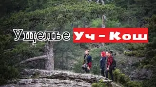 Крым / Часть II / Ущелье Уч- Кош / Ялтинский заповедник / Сьемка с дрона: горное ущелье в тумане