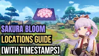 Sakura Bloom Locations Guide | Genshin Impact [With Timestamps]