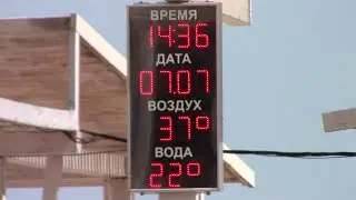 Крым.  Кефаль на пляже.  Евпатория  07. 07. 22г.