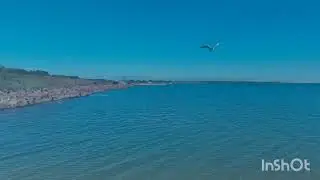 Прогулка по берегу Хельсингборга Швеция.