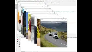 image processing tutorial 21, Reading and resizing multiple image using glob library in python
