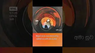 #ධර්මදානයක්_වේවා #truth #foryou #trending #viral  #love #like #buddhism #motivation #subscribe