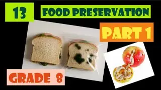 Food preservation| Unit 13| Science| English medium| Grade 8| Part 1