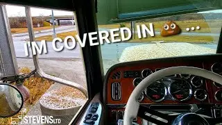 The Wind Blew Just Right To COVER ME IN IT !!     [DIRTY JOBS]