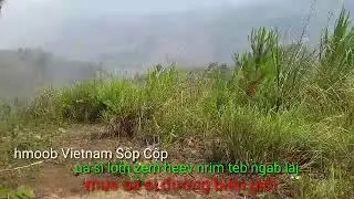 Ua si nrim teb ngab laj thiab nrim plog hmoob (viet nam)