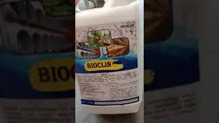 Herbal AJAIB.Ayam sehat amonia hilang.rekomendasi bgt.