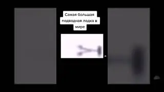 Самая Большая в Мире. Акула. Тайфун.