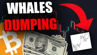 THESE BITCOIN WHALES ARE DUMPING NOW! BIG WEEK AHEAD!