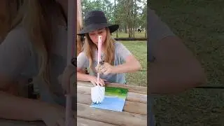 туалетка и ёрш проживают свою лучшую жизнь