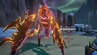 Borderlands 2: L83 Peak Run