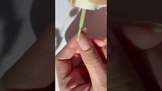 Green Tips Forever tiktok nailbetch